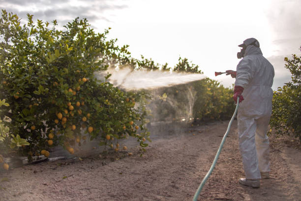 Best Residential Pest Control  in Zeeland, MI